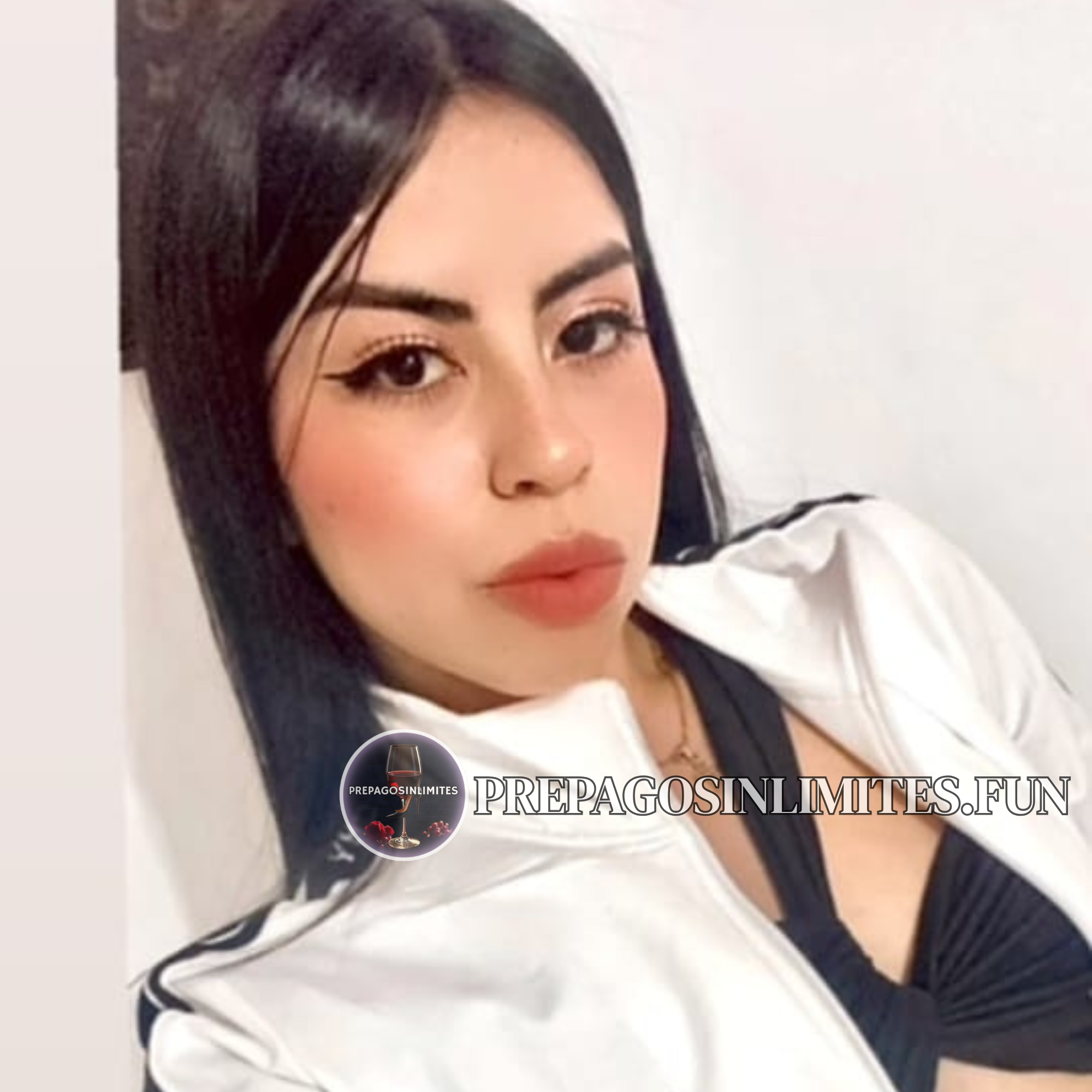 PREPAGOSINLIMITES.FUN_20260216_185519_0000